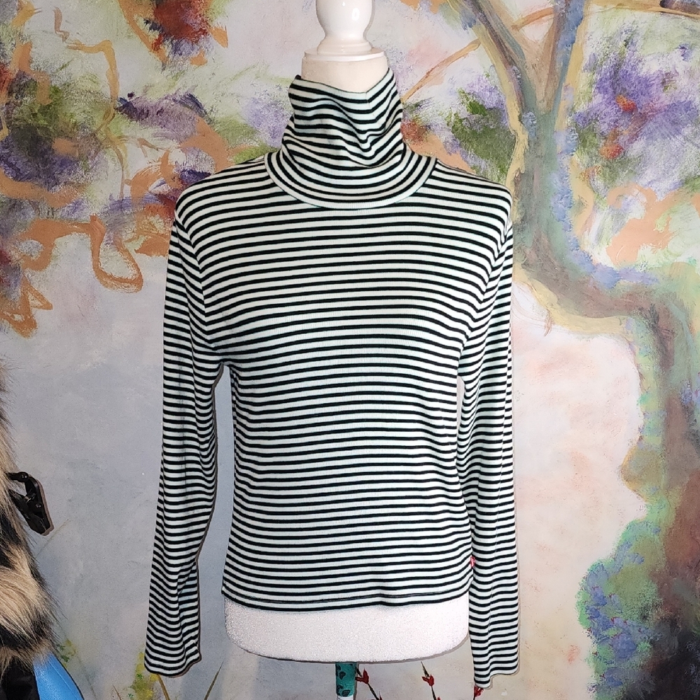 Black White & Turqouise Striped Turtleneck LONGSLEEVE Shirt